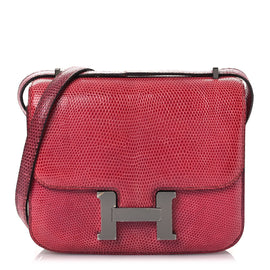 Lizard Constance 18 Fuchsia