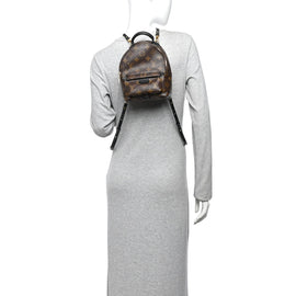 Monogram Palm Springs Backpack Mini