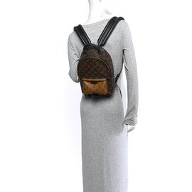 Reverse Monogram Palm Springs Backpack PM