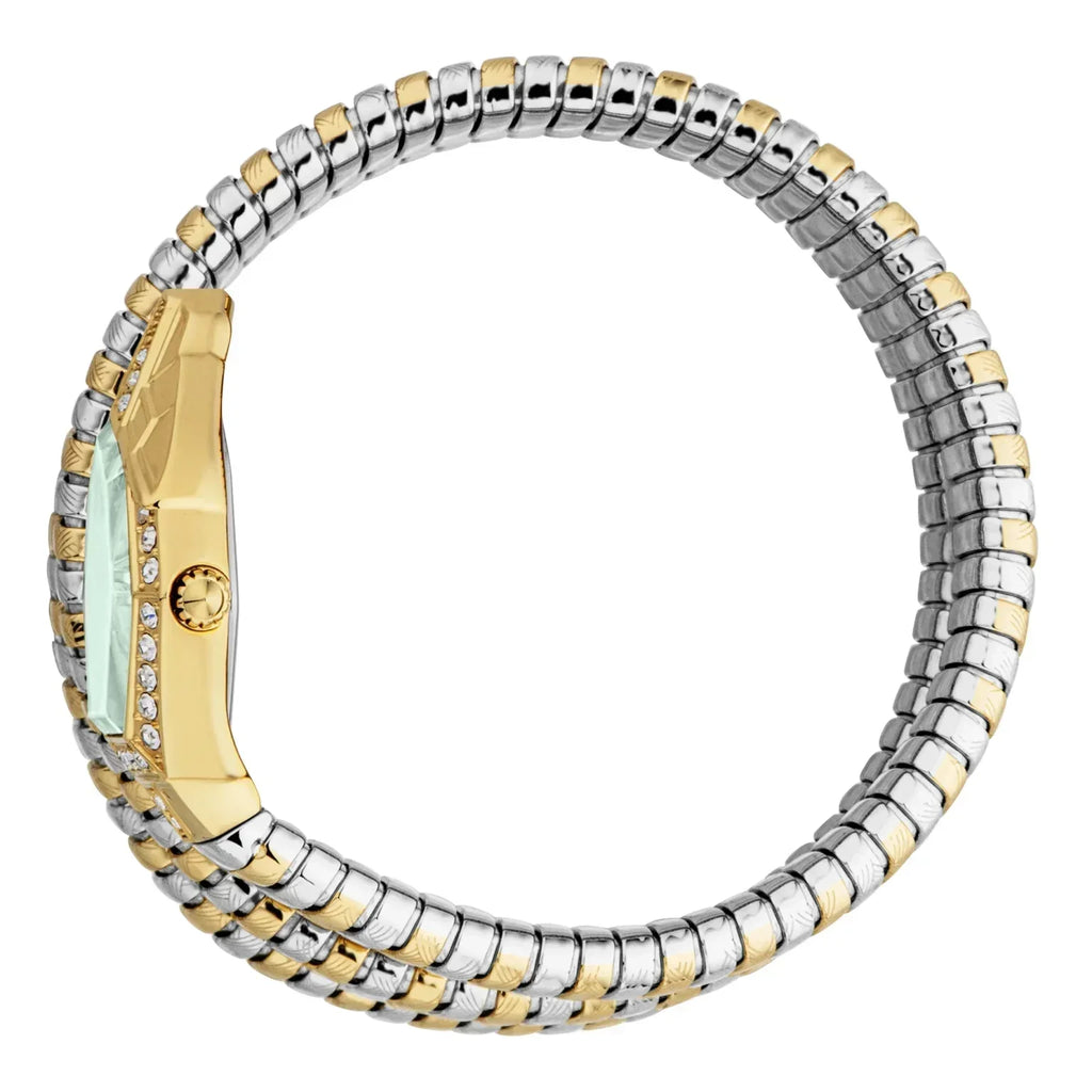 Just Cavalli Mesmerizing Green Dial Two Tone Steel Strap Watch for Women - JC1L304M0065