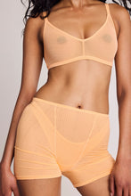 Load image into Gallery viewer, Whipped Boxer in Sorbet