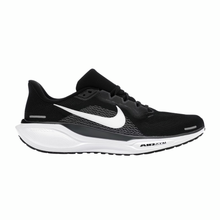 Load image into Gallery viewer, Nike Pegasus 41