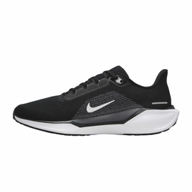 Nike Pegasus 41