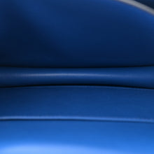 Load image into Gallery viewer, Chevre Mysore Constance 18 Bleu France