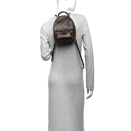 Monogram Palm Springs Backpack Mini