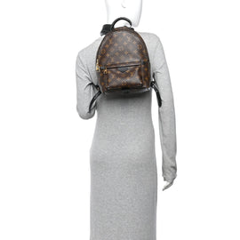 Monogram Palm Springs Backpack PM