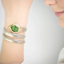 Load image into Gallery viewer, Just Cavalli Mesmerizing Green Dial Two Tone Steel Strap Watch for Women - JC1L304M0065