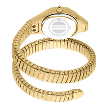 Load image into Gallery viewer, Just Cavalli Amalfi Silver Dial Gold Steel Strap Watch for Women - JC1L270M0025